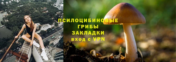 гидра Алзамай