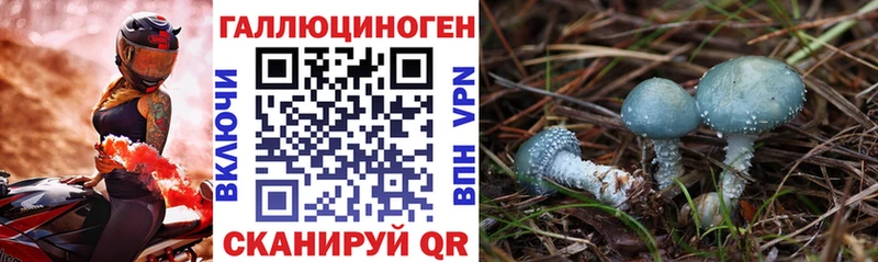 мега ONION  маркетплейс официальный сайт  Псилоцибиновые грибы Magic Shrooms  Сураж 